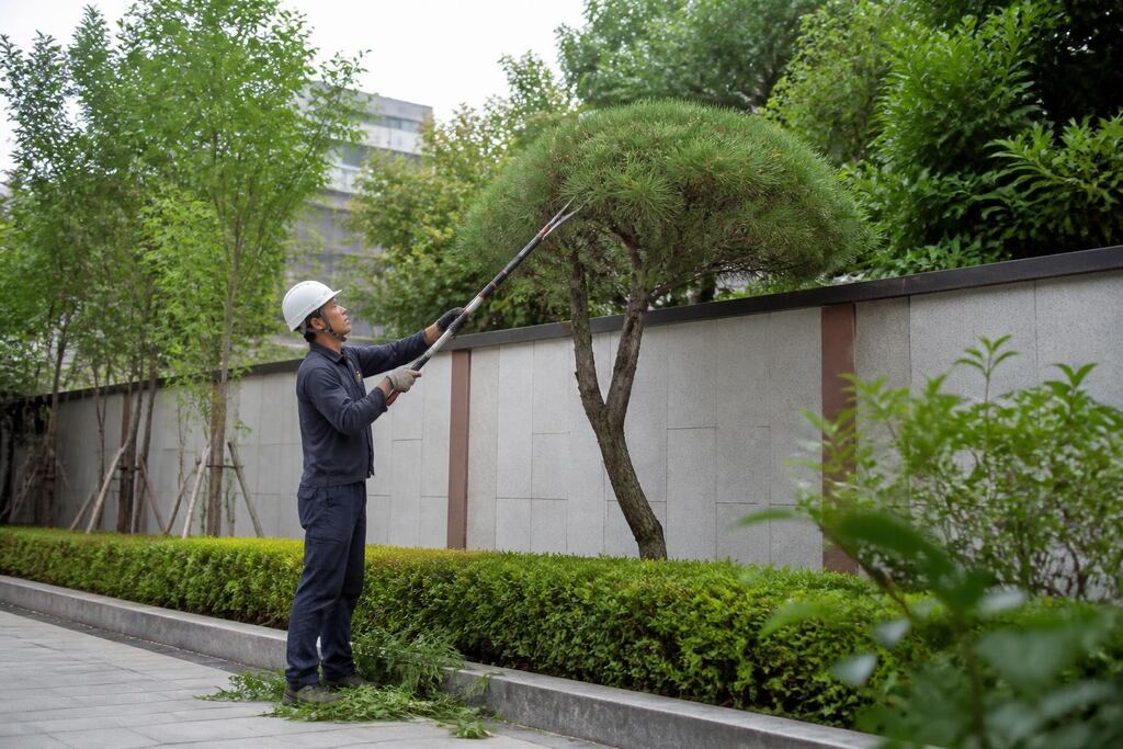 서울 동작구 나무 전지·전정 작업 범위와 현장 조건 이미지