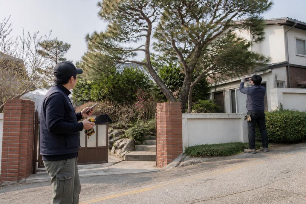 서울 용산구 나무 제거·벌목 작업 범위와 현장 조건 이미지