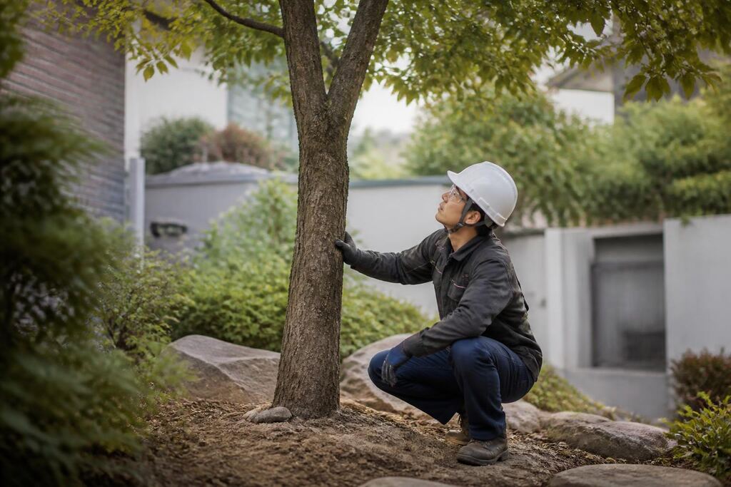 서울 성북구 나무 제거·벌목 이미지