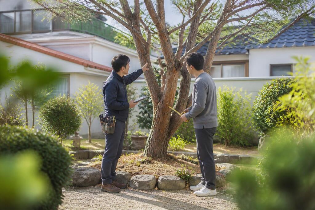 서울 서대문구 나무 제거·벌목 이미지