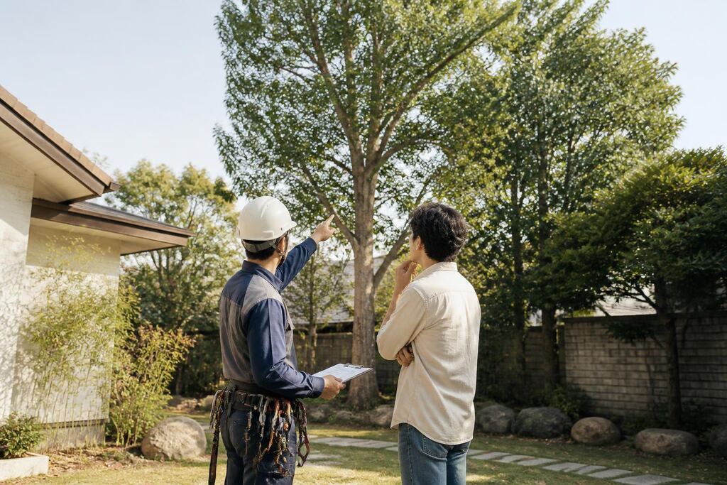 서울 마포구 나무 제거·벌목 이미지