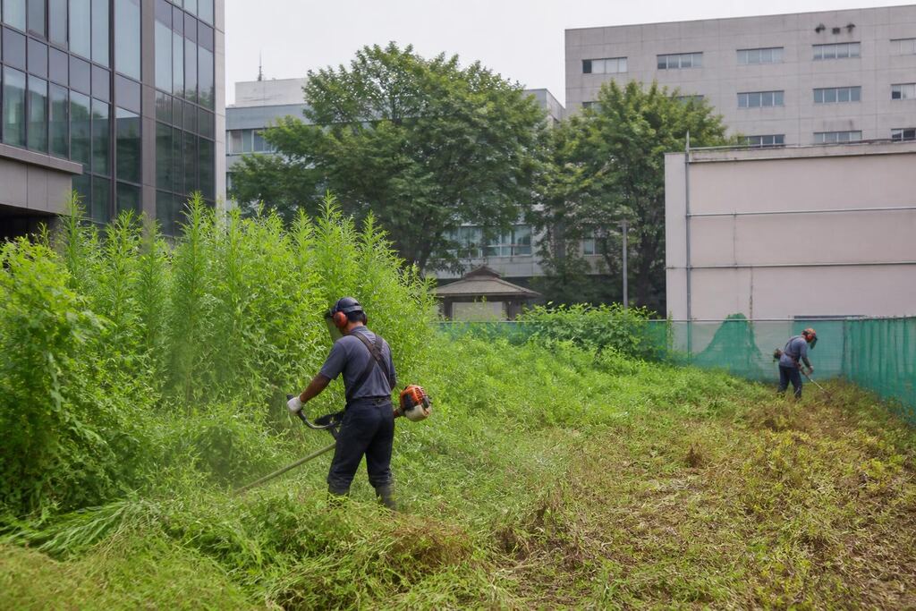 서울 동대문구 공터 정리 작업 범위와 현장 조건 이미지