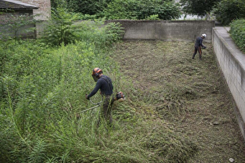 서울 은평구 공터 정리 작업 범위와 현장 조건 이미지