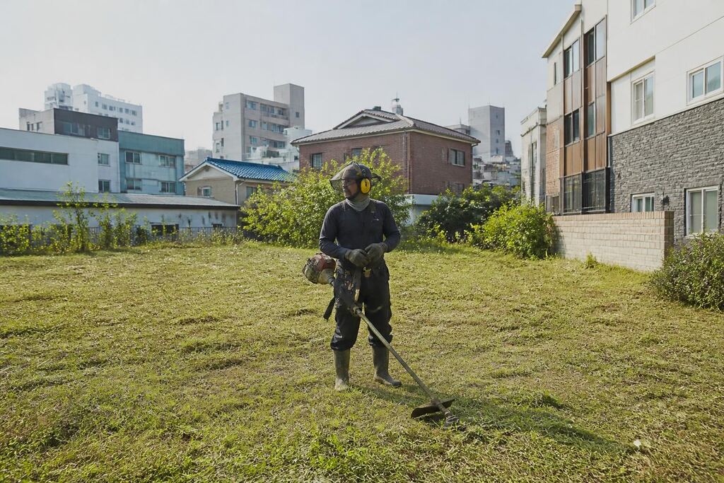 서울 양천구 공터 정리 이미지