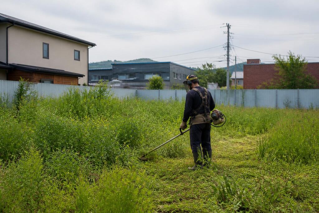 서울 강서구 공터 정리 이미지