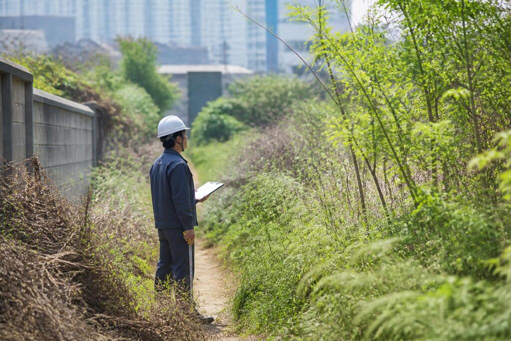서울 금천구 공터 정리 작업 범위와 현장 조건 이미지