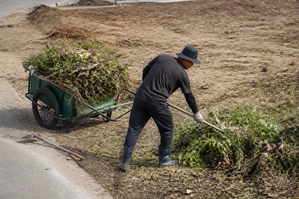 서울 금천구 공터 정리 비용과 업체 비교 정보 이미지