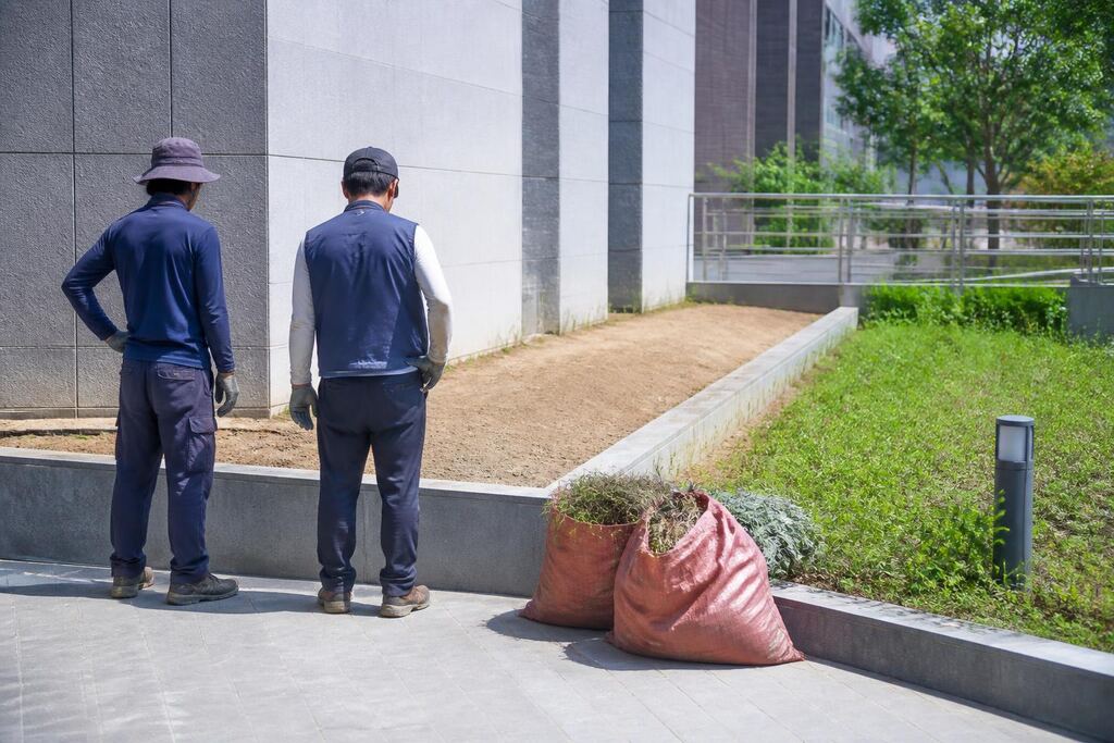 서울 중구 잡초 제거 비용과 업체 비교 정보 이미지