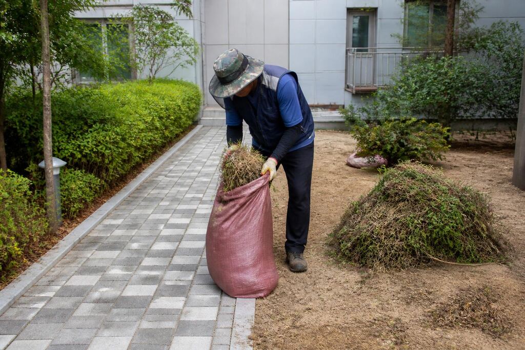 서울 용산구 잡초 제거 비용과 업체 비교 정보 이미지
