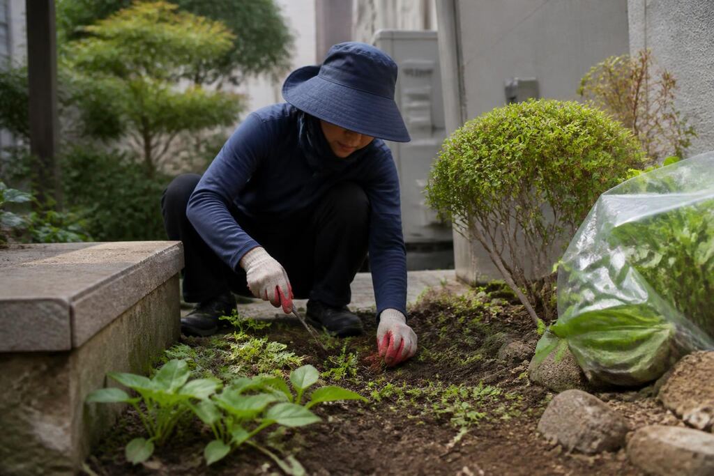서울 성동구 잡초 제거 작업 범위와 현장 조건 이미지