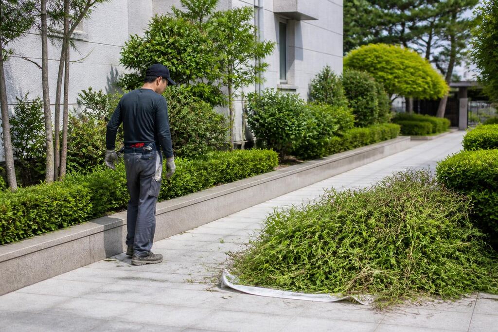 서울 동대문구 잡초 제거 비용과 업체 비교 정보 이미지