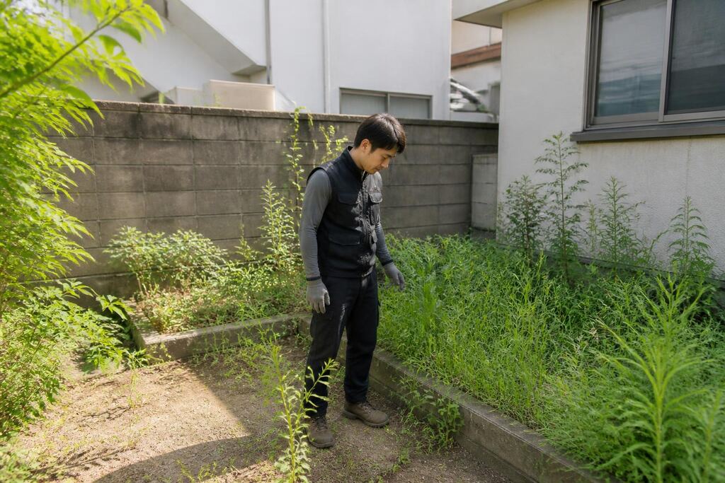 서울 중랑구 잡초 제거 이미지
