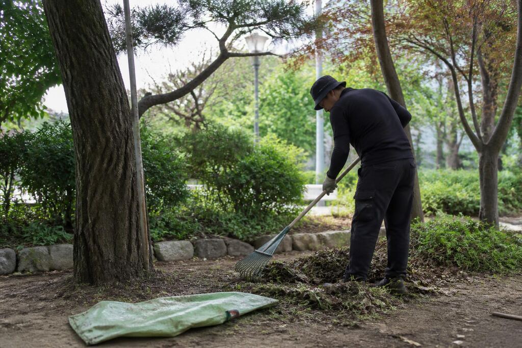서울 강북구 잡초 제거 비용과 업체 비교 정보 이미지