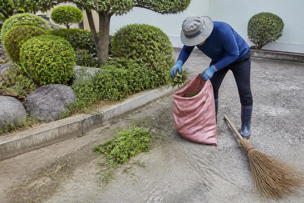 서울 도봉구 잡초 제거 비용과 업체 비교 정보 이미지