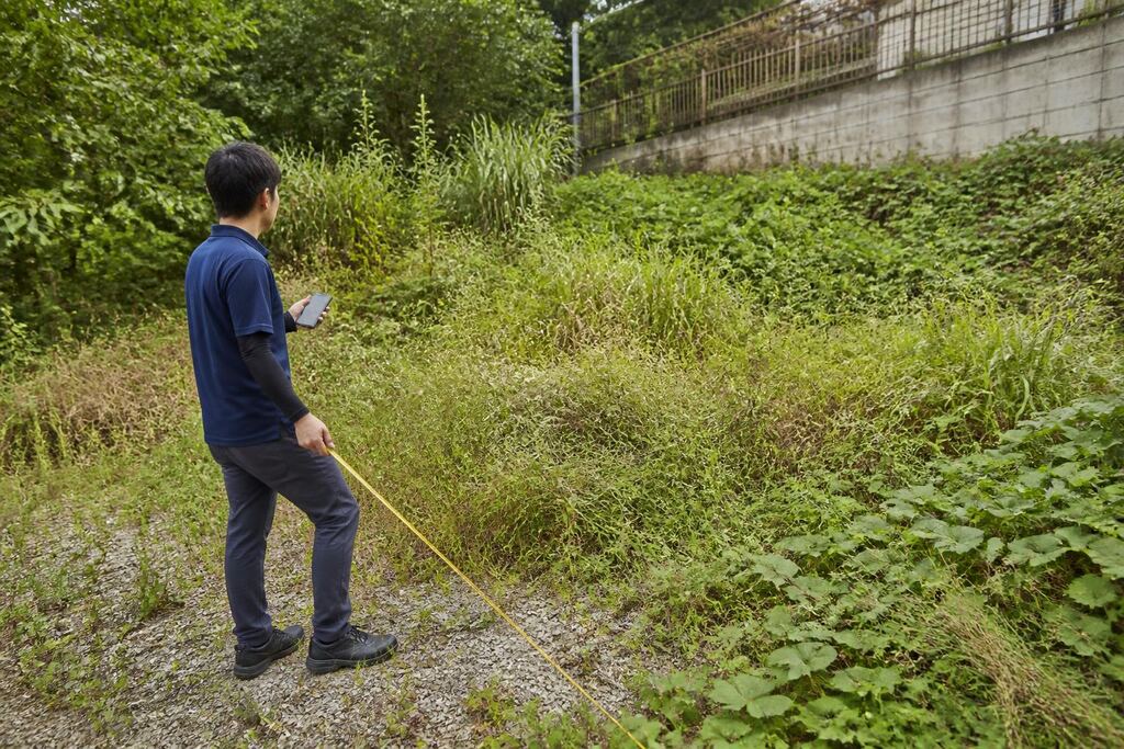 서울 양천구 잡초 제거 작업 범위와 현장 조건 이미지