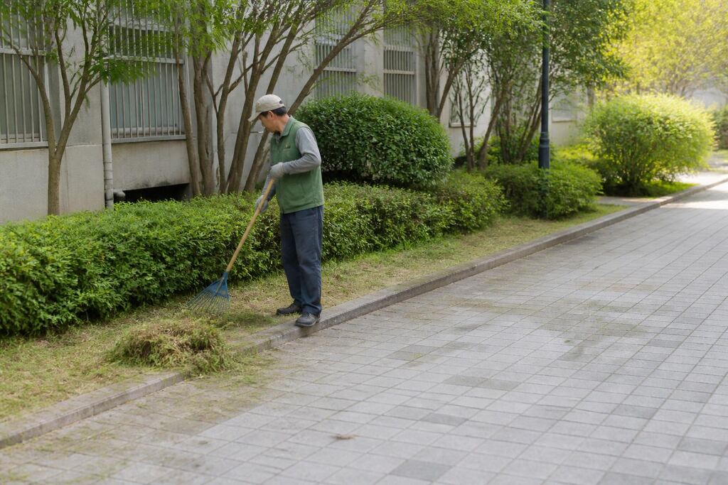 서울 성북구 제초 작업 비용과 업체 비교 정보 이미지