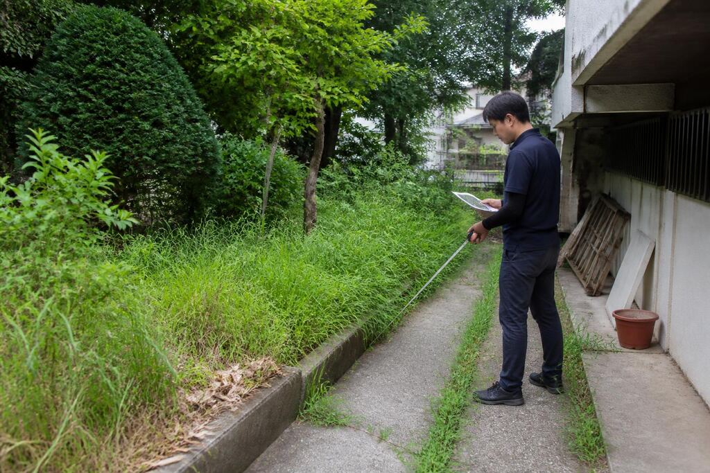 서울 노원구 제초 작업 작업 범위와 현장 조건 이미지