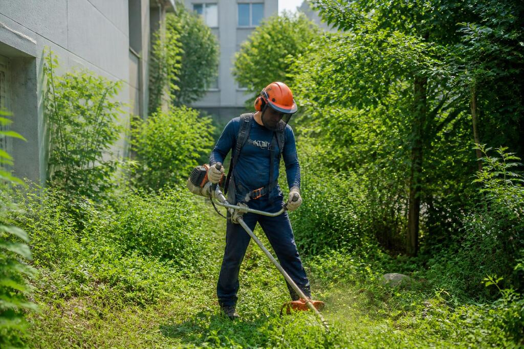 서울 서대문구 제초 작업 이미지