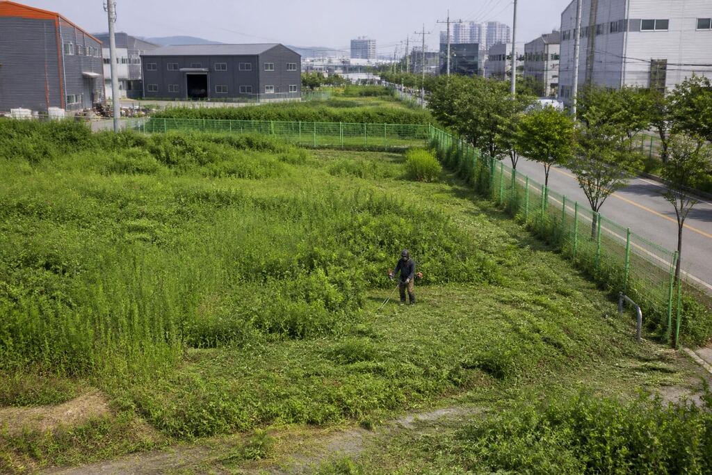 서울 관악구 제초 작업 작업 범위와 현장 조건 이미지