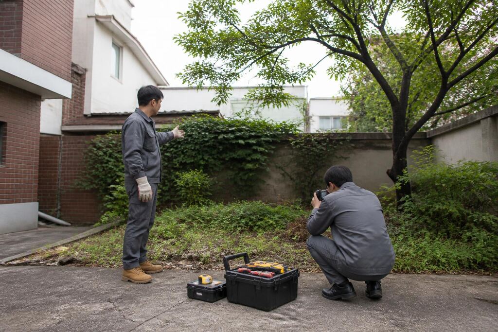 서울 성동구 마당 정리 이미지