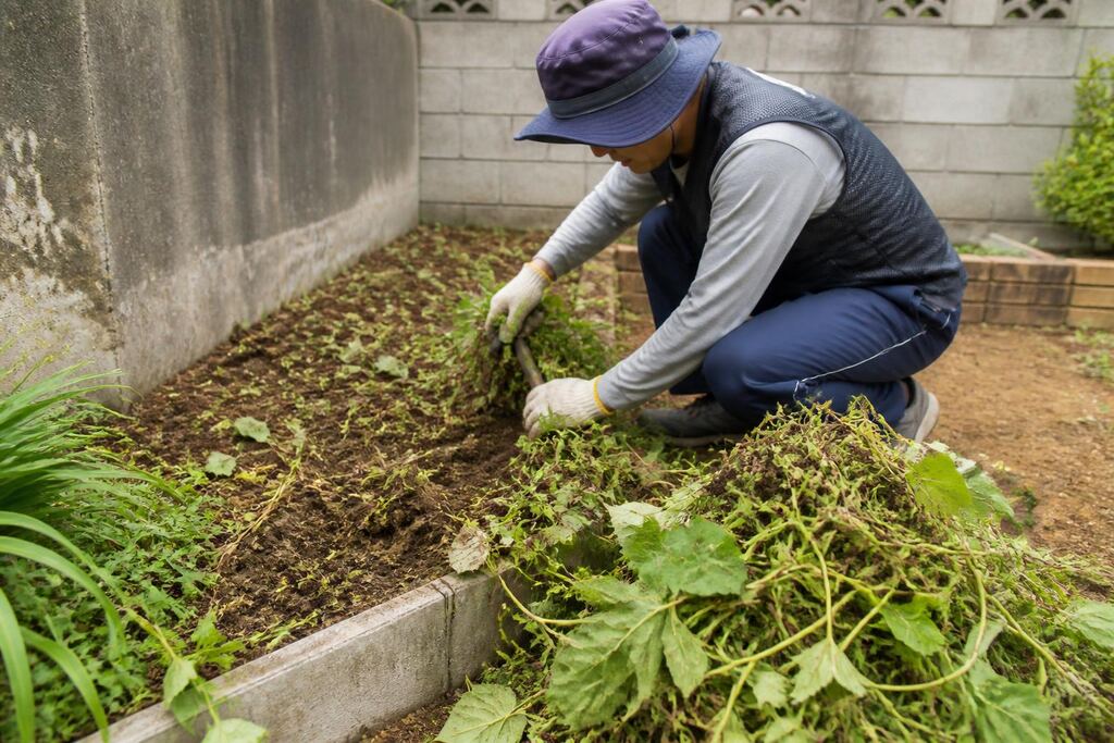 서울 성북구 마당 정리 작업 범위와 현장 조건 이미지