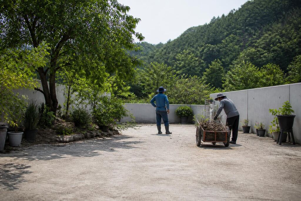 서울 강북구 마당 정리 비용과 업체 비교 정보 이미지