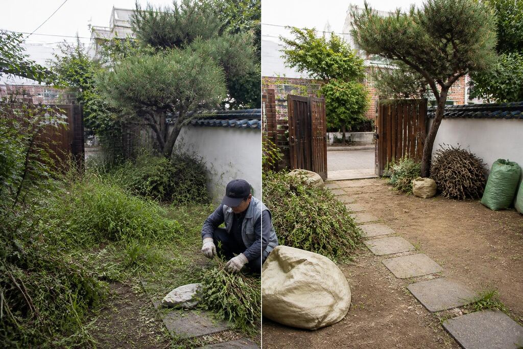 서울 금천구 마당 정리 이미지