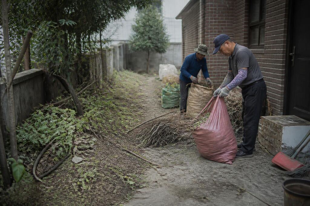 서울 영등포구 마당 정리 작업 범위와 현장 조건 이미지