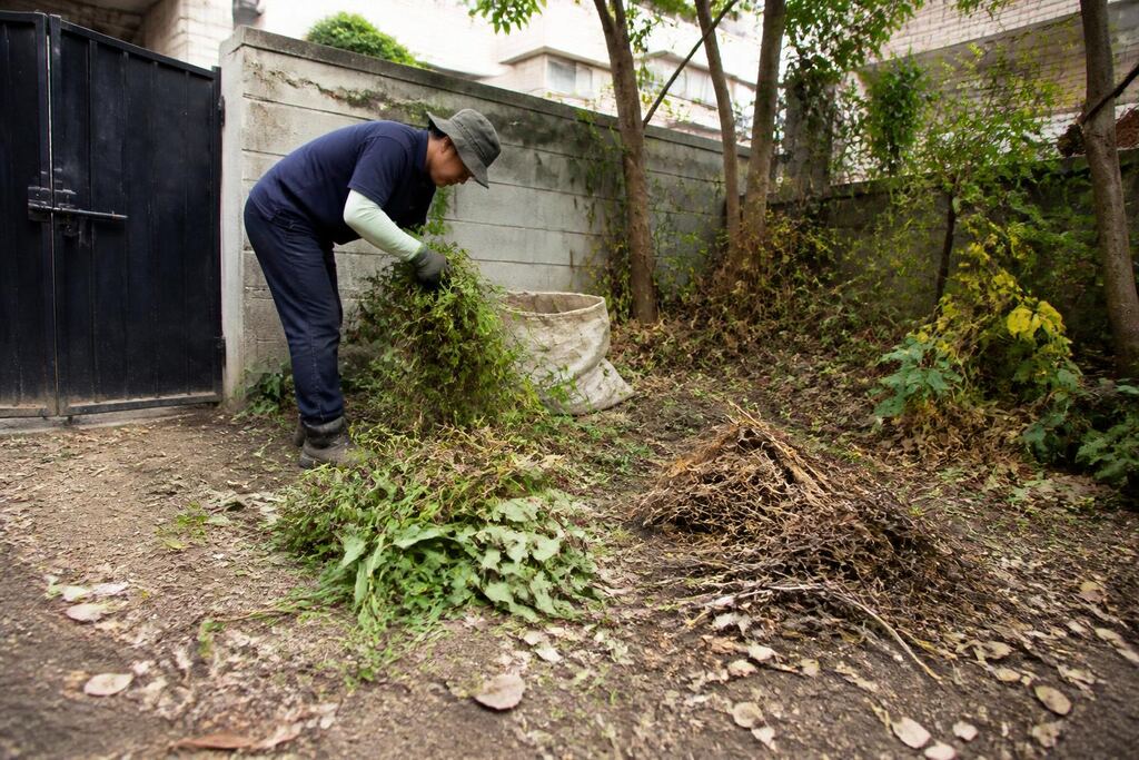 서울 동작구 마당 정리 작업 범위와 현장 조건 이미지