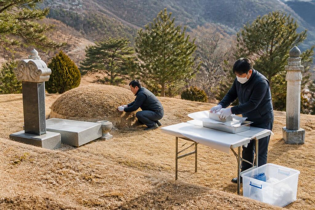 서울 은평구 개장·파묘 비용과 업체 비교 정보 이미지