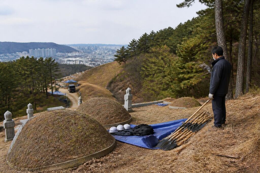 서울 양천구 개장·파묘 작업 범위와 현장 조건 이미지