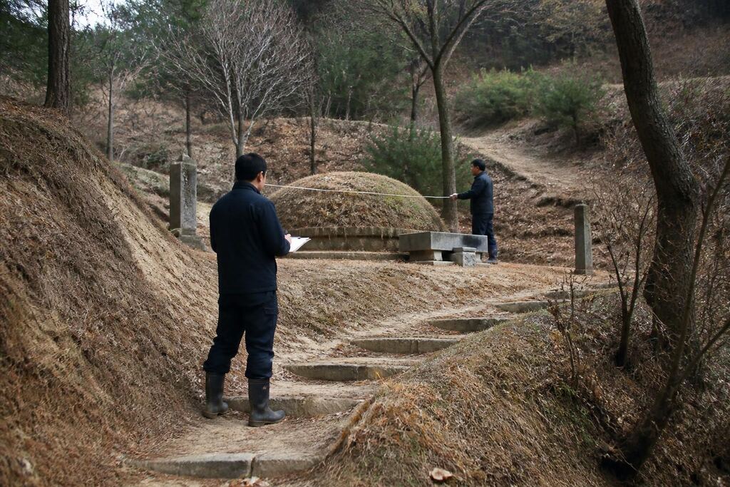 서울 서초구 개장·파묘 작업 범위와 현장 조건 이미지
