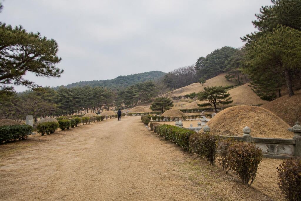 서울 강남구 개장·파묘 작업 범위와 현장 조건 이미지