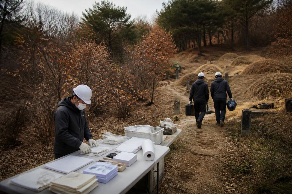 서울 강남구 개장·파묘 비용과 업체 비교 정보 이미지