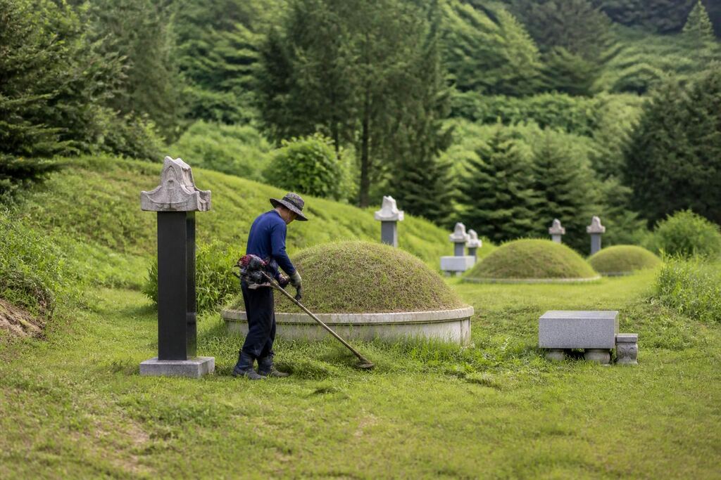 서울 중구 묘지관리 이미지