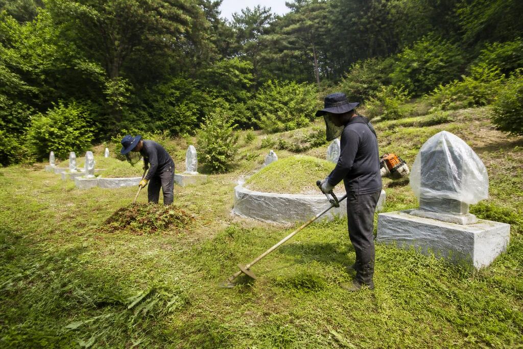 서울 용산구 묘지관리 작업 범위와 현장 조건 이미지