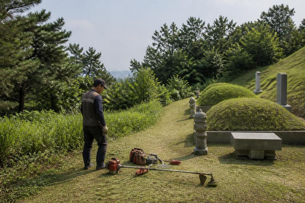서울 강북구 묘지관리 이미지
