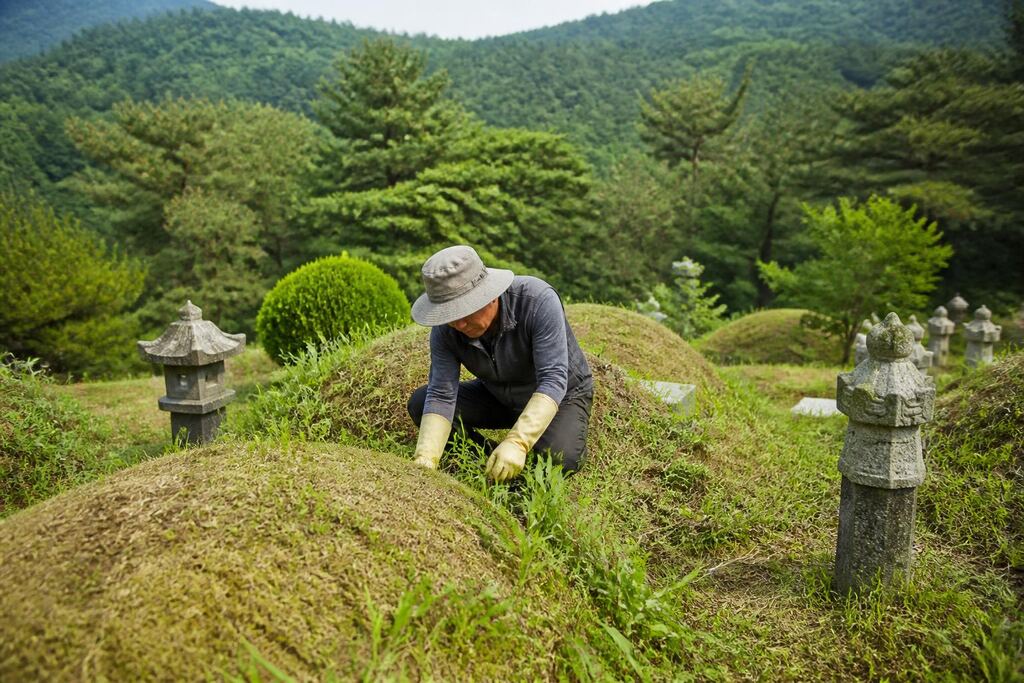 서울 도봉구 묘지관리 이미지