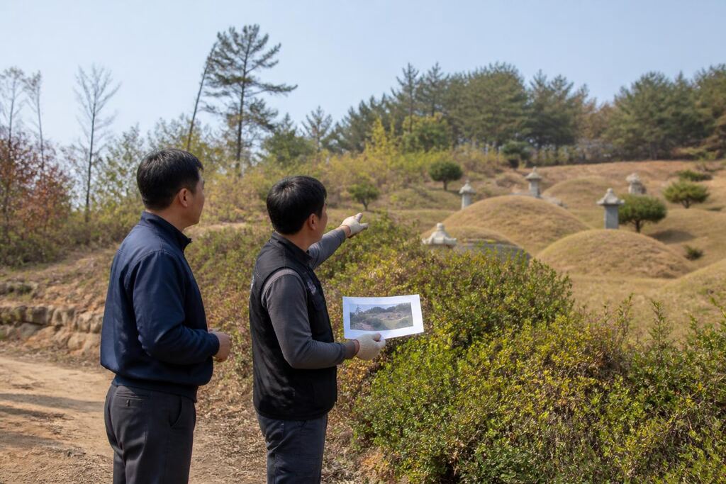 서울 도봉구 묘지관리 작업 범위와 현장 조건 이미지