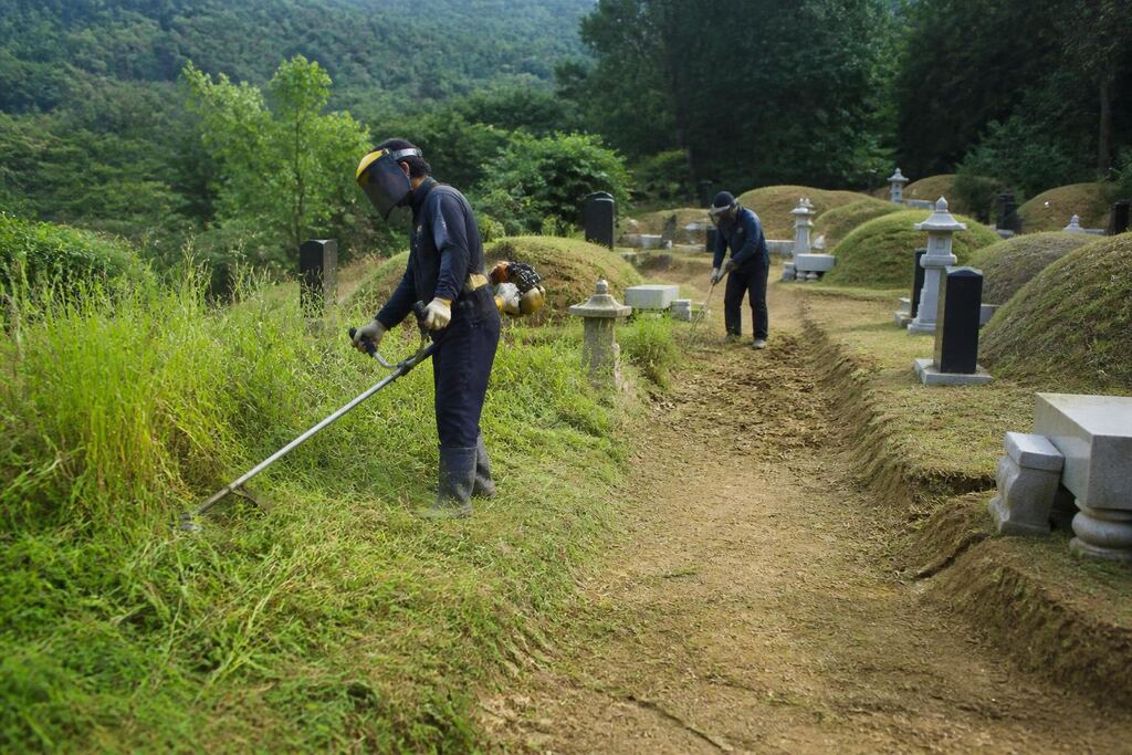 서울 노원구 묘지관리 작업 범위와 현장 조건 이미지