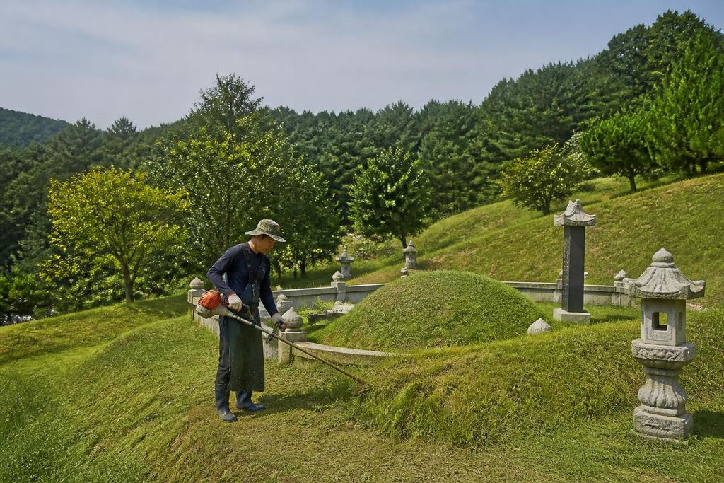 서울 마포구 묘지관리 이미지