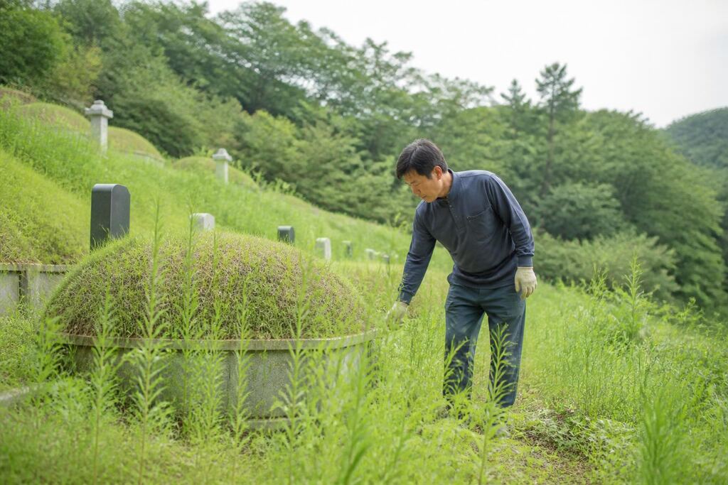 서울 강서구 묘지관리 이미지