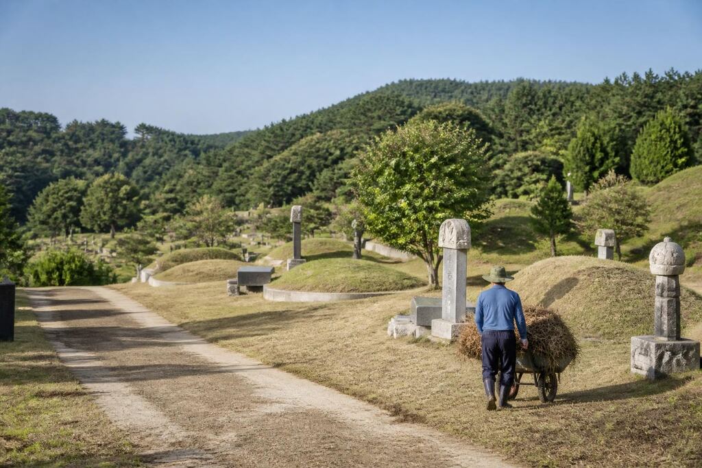 서울 영등포구 묘지관리 비용과 업체 비교 정보 이미지