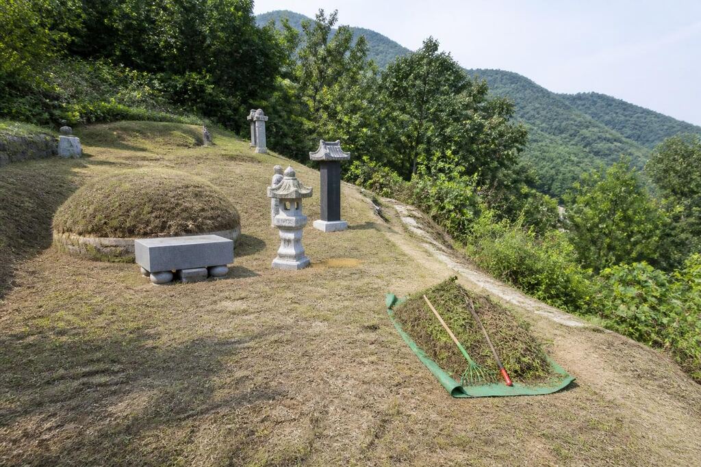 서울 관악구 묘지관리 비용과 업체 비교 정보 이미지