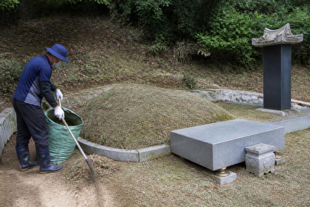 서울 서초구 묘지관리 작업 범위와 현장 조건 이미지
