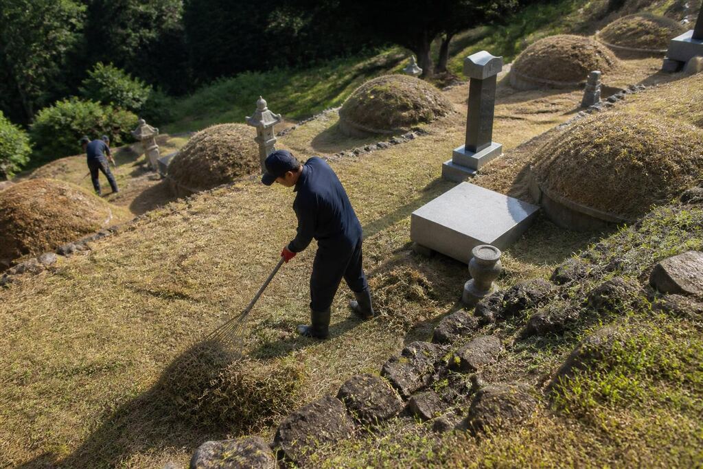 서울 중구 벌초 작업 범위와 현장 조건 이미지
