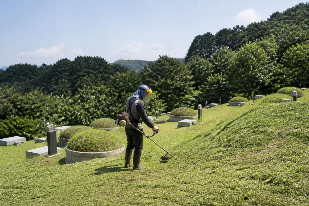 서울 용산구 벌초 이미지