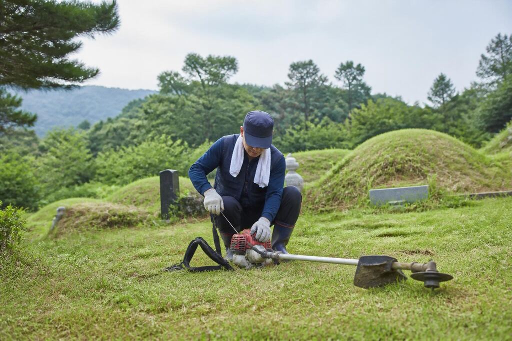 서울 성동구 벌초 이미지