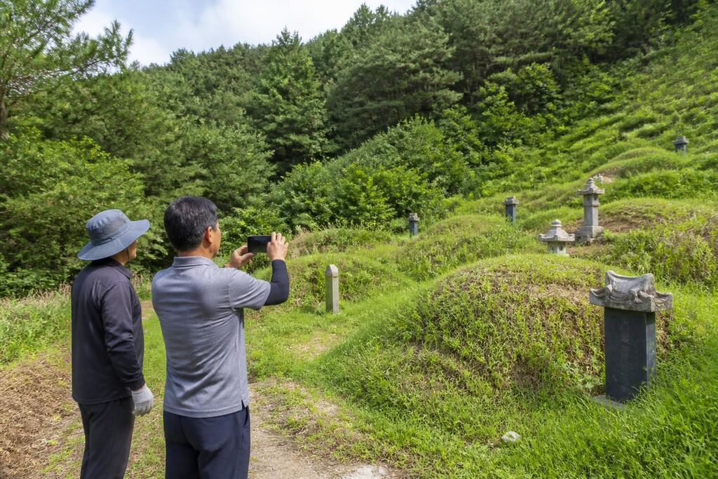 서울 성동구 벌초 작업 범위와 현장 조건 이미지