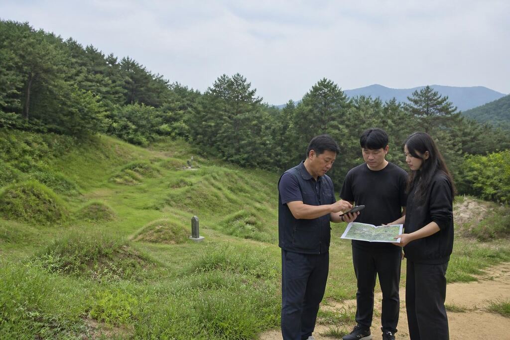 서울 동대문구 벌초 작업 범위와 현장 조건 이미지
